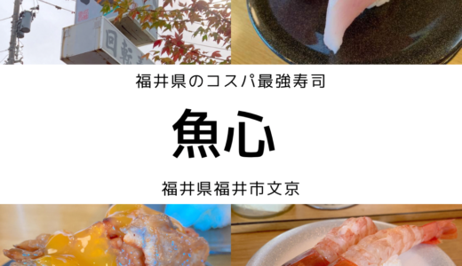 【おすすめ】福井でコスパ最強寿司を堪能！「魚心」