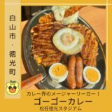 【解説】『ゴーゴーカレー』のおすすめメニュー！ お取り寄せ情報も併せて紹介