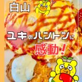 【洋食ランチ×金沢カレー】白山市の「キッチンユキ」で味わう“懐かし旨い”デート飯＠白山市・幸明町