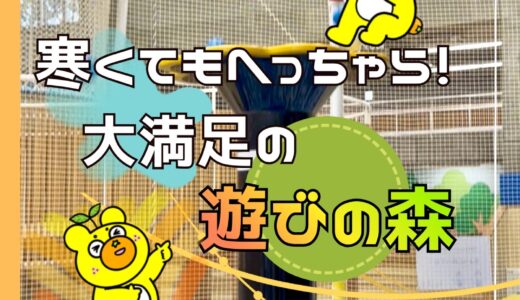 下のソーシャルリンクからフォロー