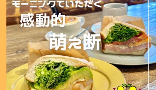 下のソーシャルリンクからフォロー