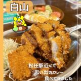 松任駅から徒歩２分！『カレーの市民アルバ白山店』で思い出の金沢カレーを食べてきました